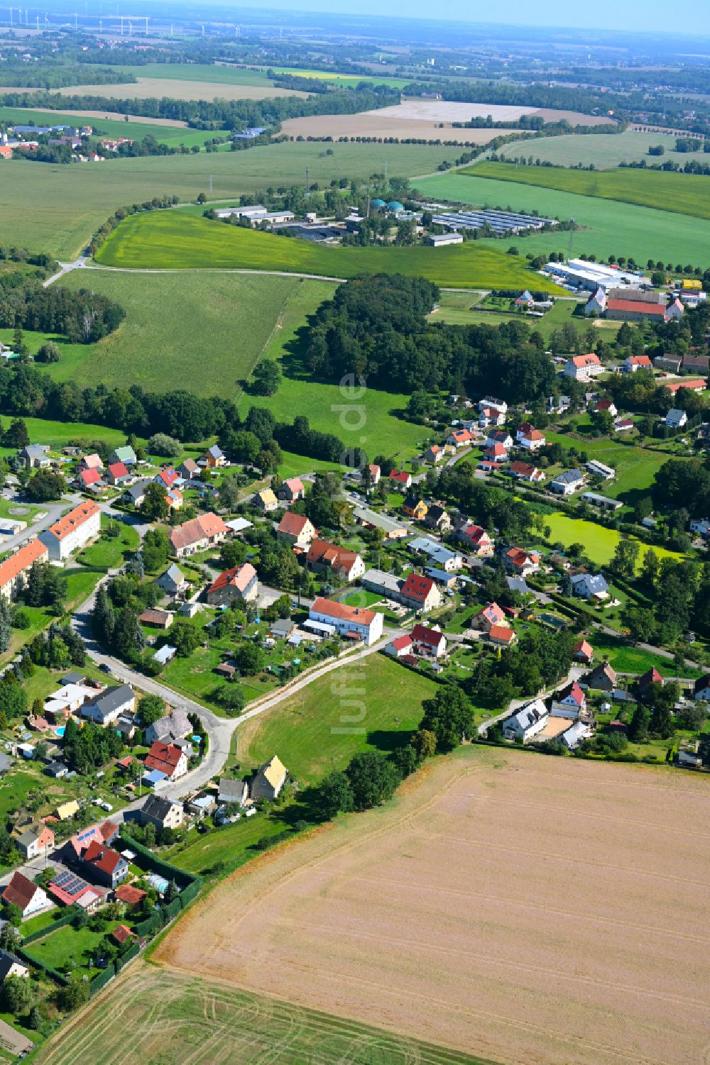 Luftaufnahme Dölzig - Dorf - Ansicht am Rande von Waldgebieten in Dölzig im Bundesland Thüringen, Deutschland