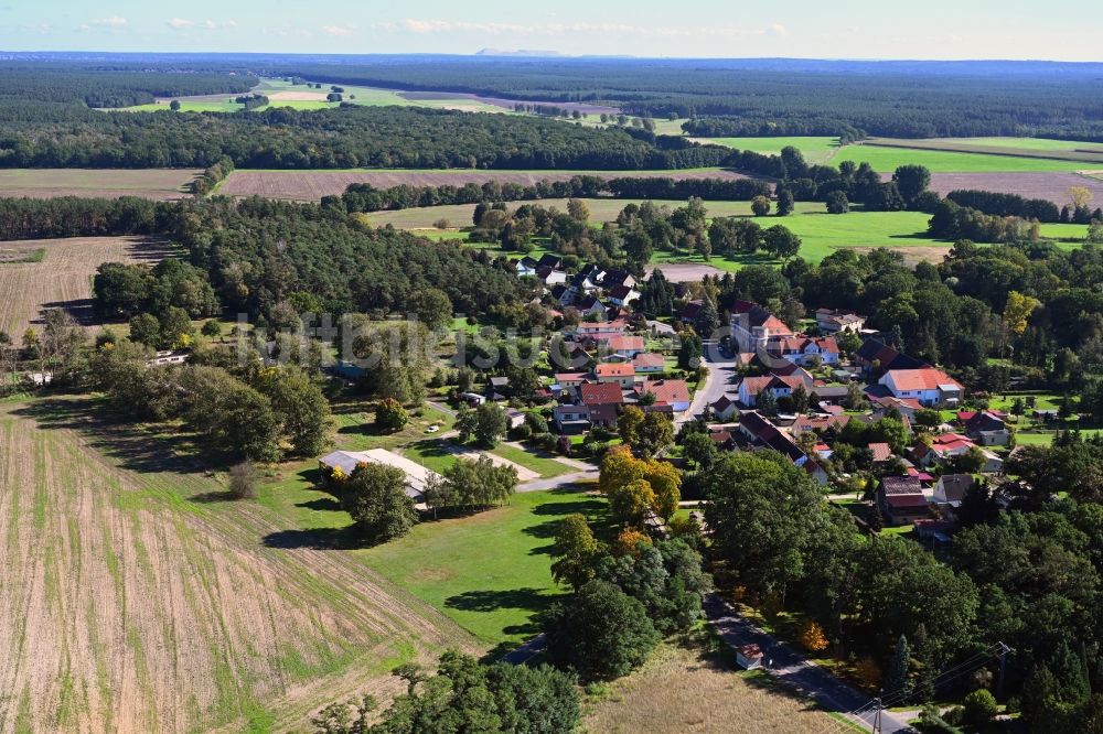 Dorst aus der Vogelperspektive: Dorf - Ansicht am Rande Waldgebieten in Dorst im Bundesland Sachsen-Anhalt, Deutschland