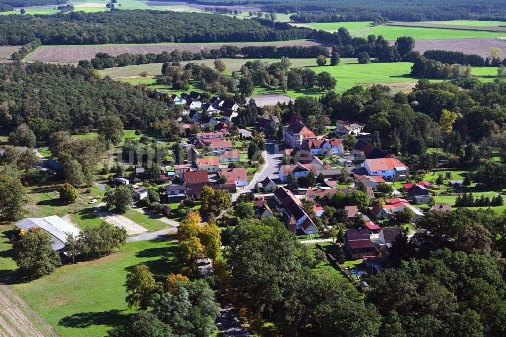 Luftbild Dorst - Dorf - Ansicht am Rande Waldgebieten in Dorst im Bundesland Sachsen-Anhalt, Deutschland