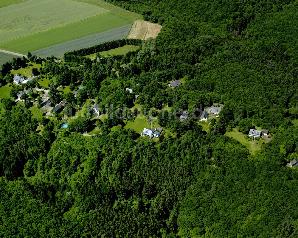 Dorweiler von oben - Dorf - Ansicht am Rande von Waldgebieten in Dorweiler im Bundesland Rheinland-Pfalz, Deutschland