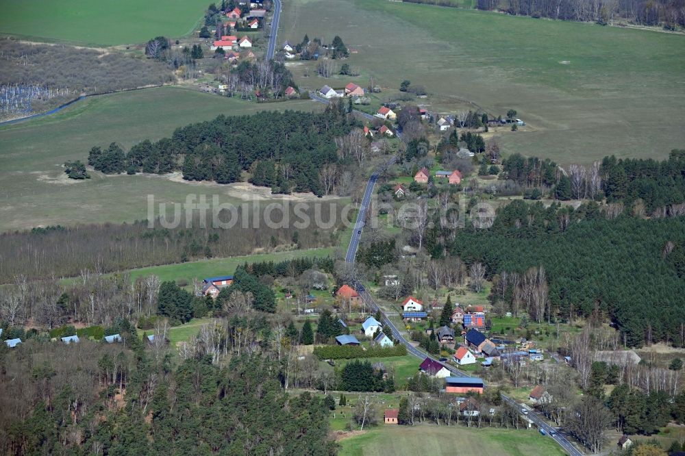 Gegensee von oben - Dorf - Ansicht am Rande Waldgebieten in Gegensee im Bundesland Mecklenburg-Vorpommern, Deutschland