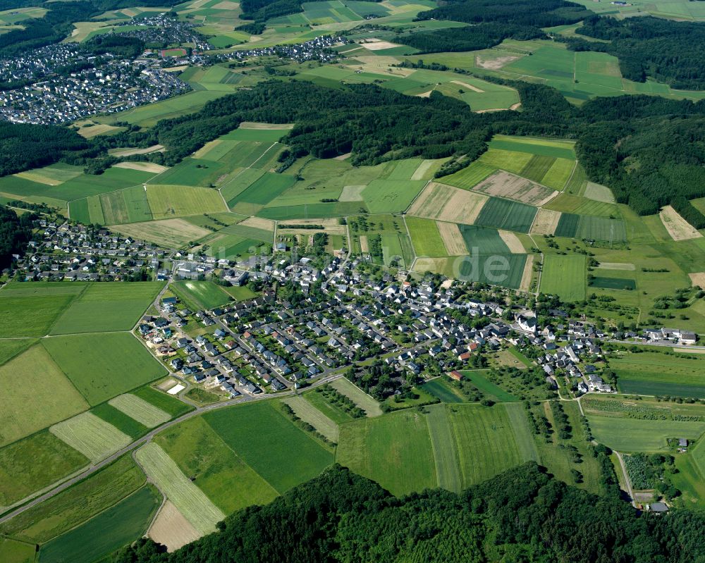 Halsenbach von oben - Dorf - Ansicht am Rande von Waldgebieten in Halsenbach im Bundesland Rheinland-Pfalz, Deutschland