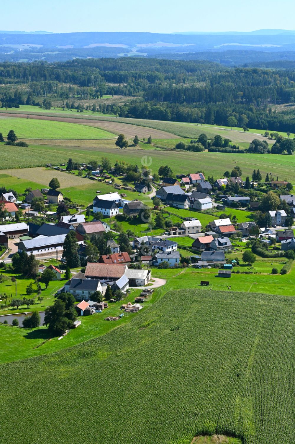 Luftbild Hauptmannsgrün - Dorf - Ansicht am Rande von Waldgebieten in Hauptmannsgrün im Bundesland Sachsen, Deutschland