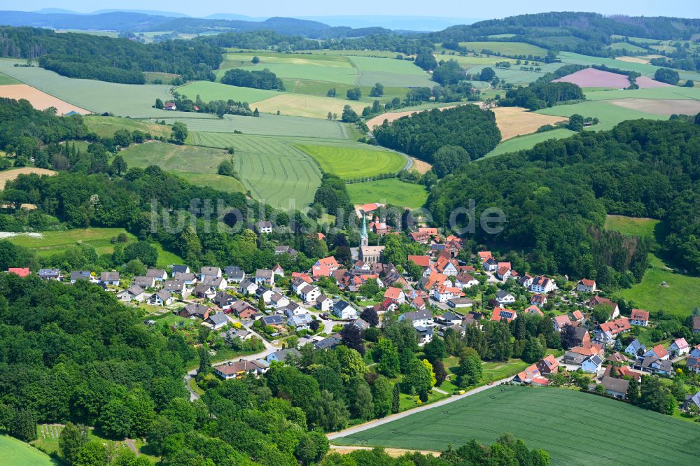 Hillentrup von oben - Dorf - Ansicht am Rande von Waldgebieten in Hillentrup im Bundesland Nordrhein-Westfalen, Deutschland