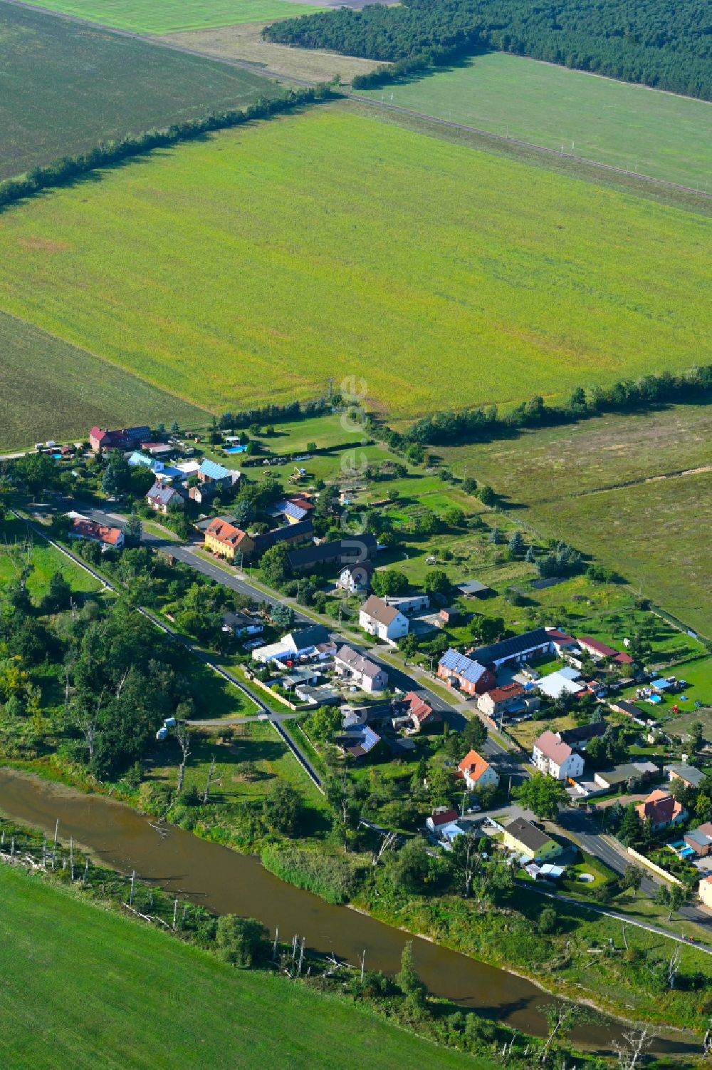 Luftaufnahme Leetza - Dorf - Ansicht am Rande von Waldgebieten in Leetza im Bundesland Sachsen-Anhalt, Deutschland