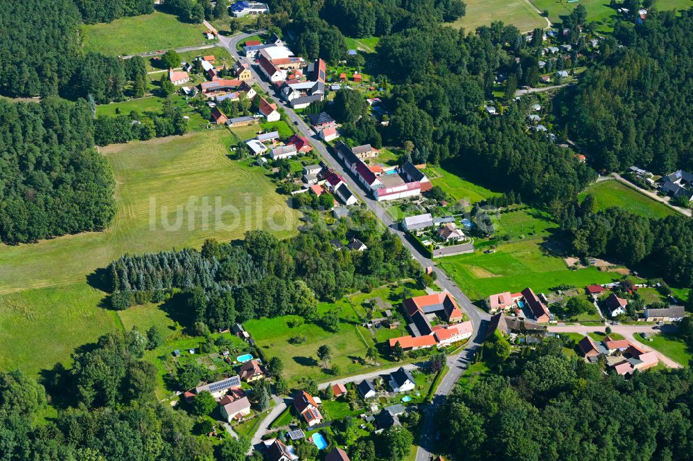 Luftbild Möllensdorf - Dorf - Ansicht am Rande von Waldgebieten in Möllensdorf im Bundesland Sachsen-Anhalt, Deutschland