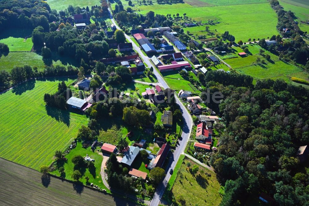 Nettelbeck von oben - Dorf - Ansicht am Rande Waldgebieten in Nettelbeck im Bundesland Brandenburg, Deutschland