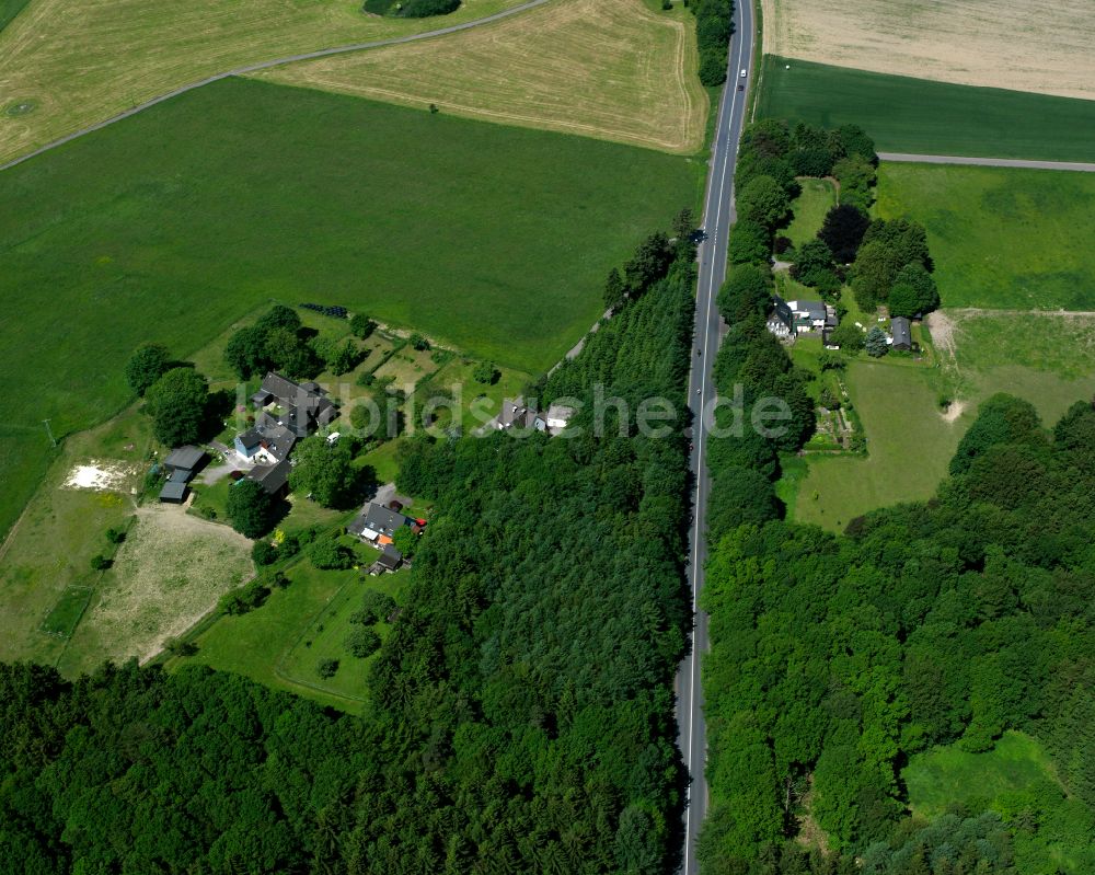 Neuenhaus von oben - Dorf - Ansicht am Rande von Waldgebieten in Neuenhaus im Bundesland Nordrhein-Westfalen, Deutschland