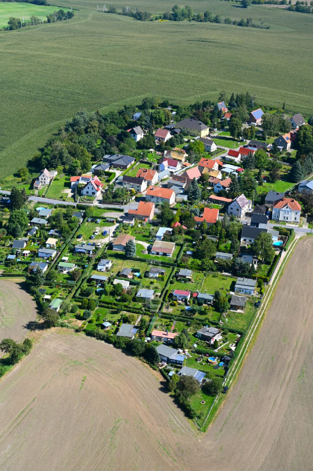 Neupoderschau aus der Vogelperspektive: Dorf - Ansicht am Rande von Waldgebieten in Neupoderschau im Bundesland Sachsen-Anhalt, Deutschland