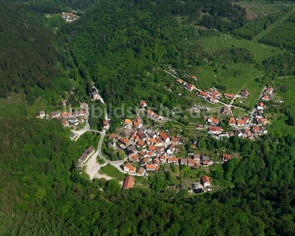 Luftaufnahme Neuwerk - Dorf - Ansicht am Rande von Waldgebieten in Neuwerk im Bundesland Sachsen-Anhalt, Deutschland