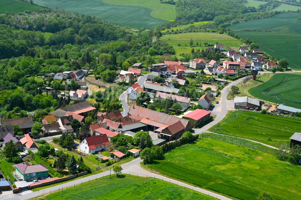 Oberrißdorf von oben - Dorf - Ansicht am Rande von Waldgebieten in Oberrißdorf im Bundesland Sachsen-Anhalt, Deutschland