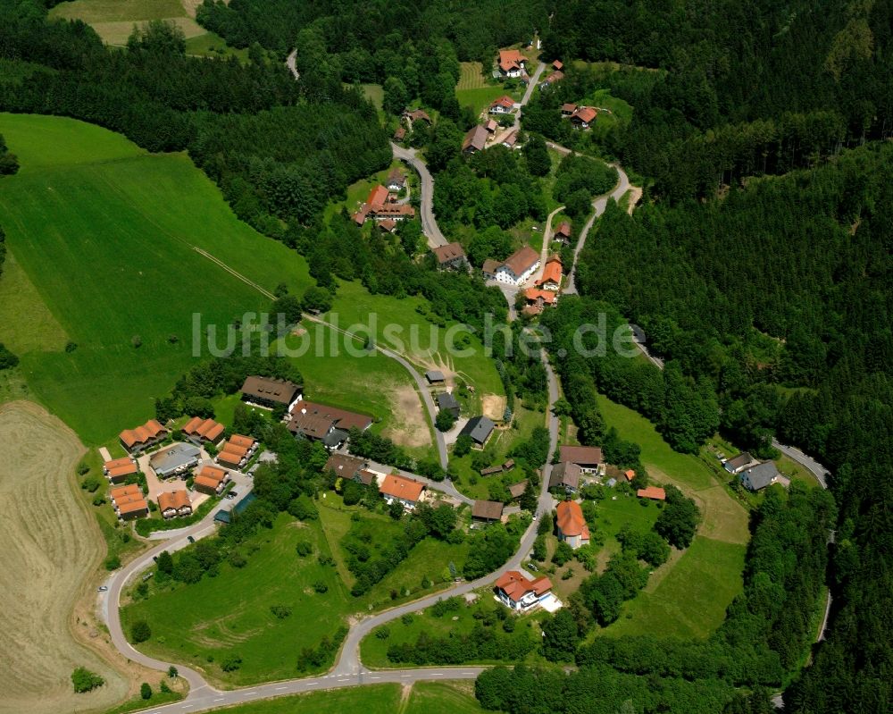 Luftaufnahme Pürgl - Dorf - Ansicht am Rande Waldgebieten in Pürgl im Bundesland Bayern, Deutschland