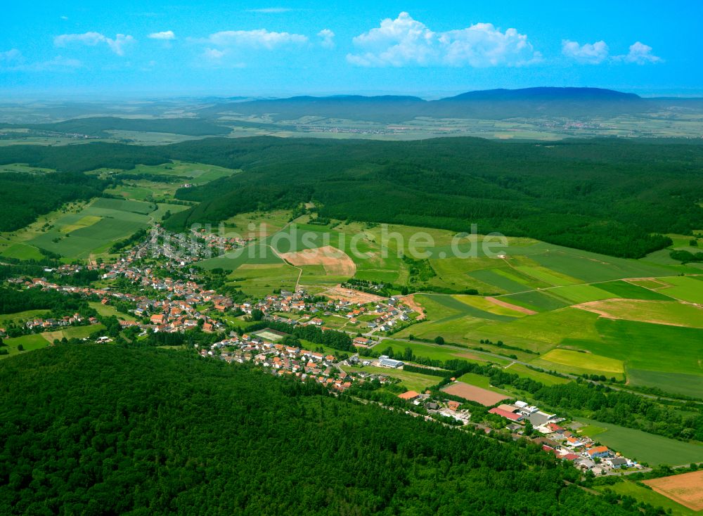 Luftbild Ramsen - Dorf - Ansicht am Rande von Waldgebieten in Ramsen im Bundesland Rheinland-Pfalz, Deutschland