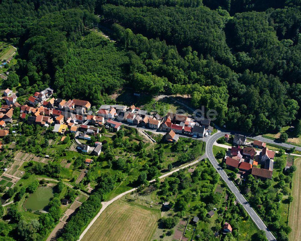 Luftaufnahme Rüdigershagen - Dorf - Ansicht am Rande von Waldgebieten in Rüdigershagen im Bundesland Thüringen, Deutschland