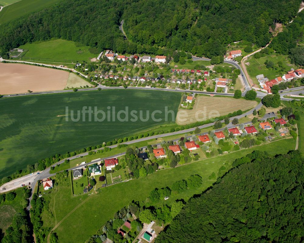 Luftaufnahme Reifenstein - Dorf - Ansicht am Rande von Waldgebieten in Reifenstein im Bundesland Thüringen, Deutschland