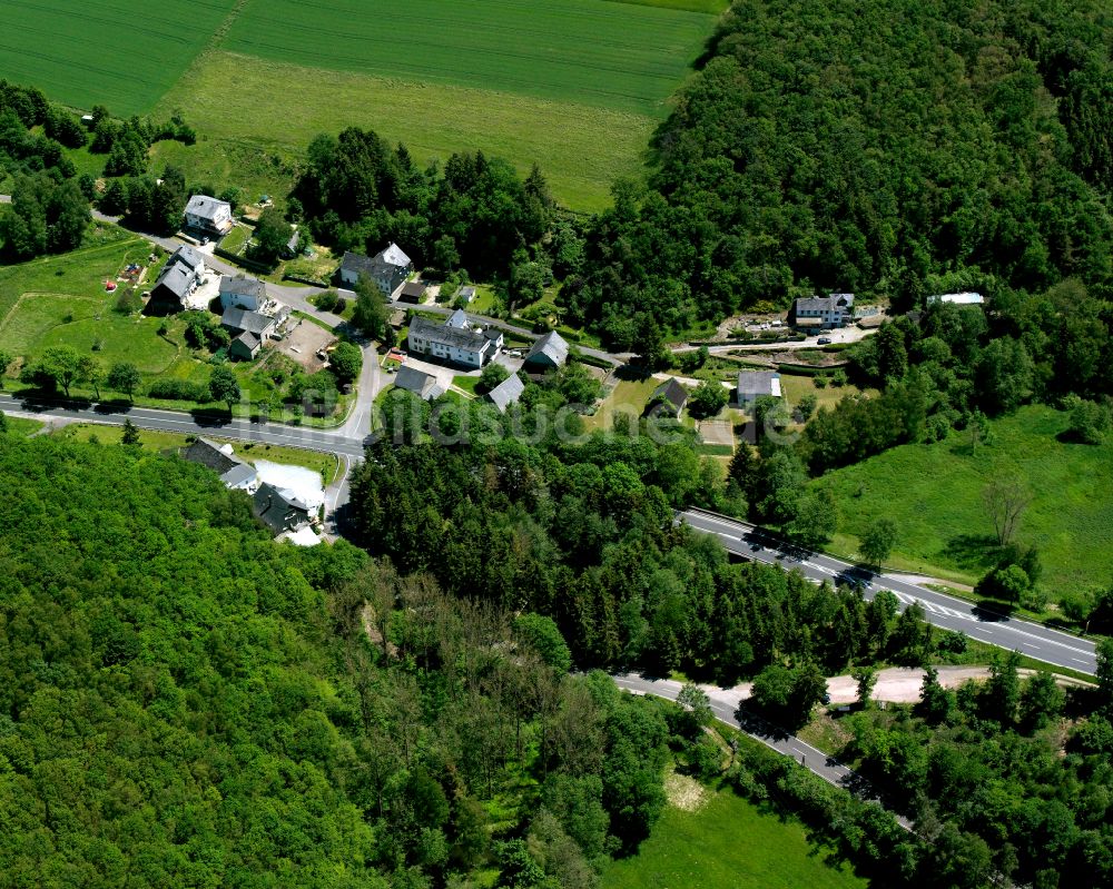 Reifenthal von oben - Dorf - Ansicht am Rande von Waldgebieten in Reifenthal im Bundesland Rheinland-Pfalz, Deutschland