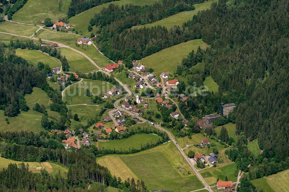 Luftaufnahme Reinerzau - Dorf - Ansicht am Rande Waldgebieten in Reinerzau Ortsteil von Alpiersbach im Bundesland Baden-Württemberg, Deutschland