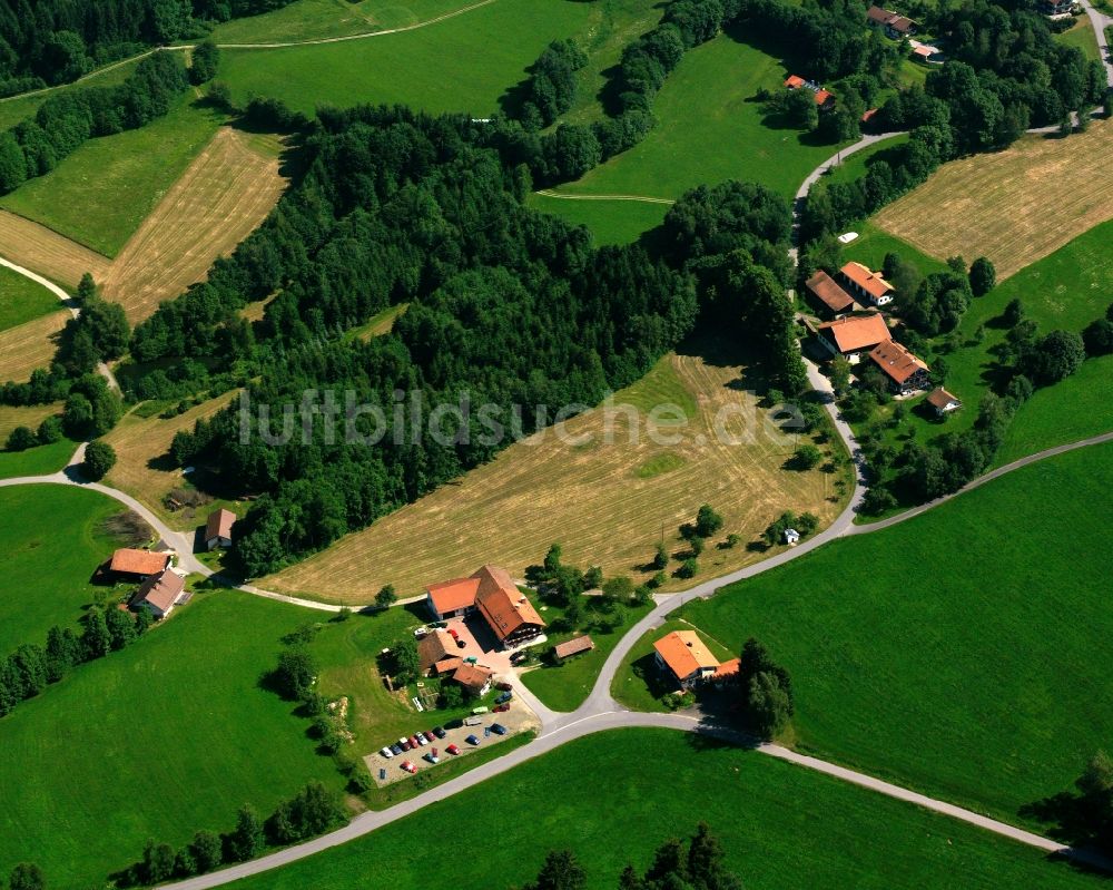 Seign von oben - Dorf - Ansicht am Rande Waldgebieten in Seign im Bundesland Bayern, Deutschland