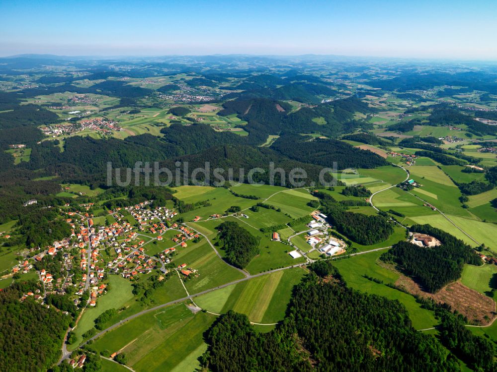 Spiegelau von oben - Dorf - Ansicht am Rande von Waldgebieten in Spiegelau im Bundesland Bayern, Deutschland