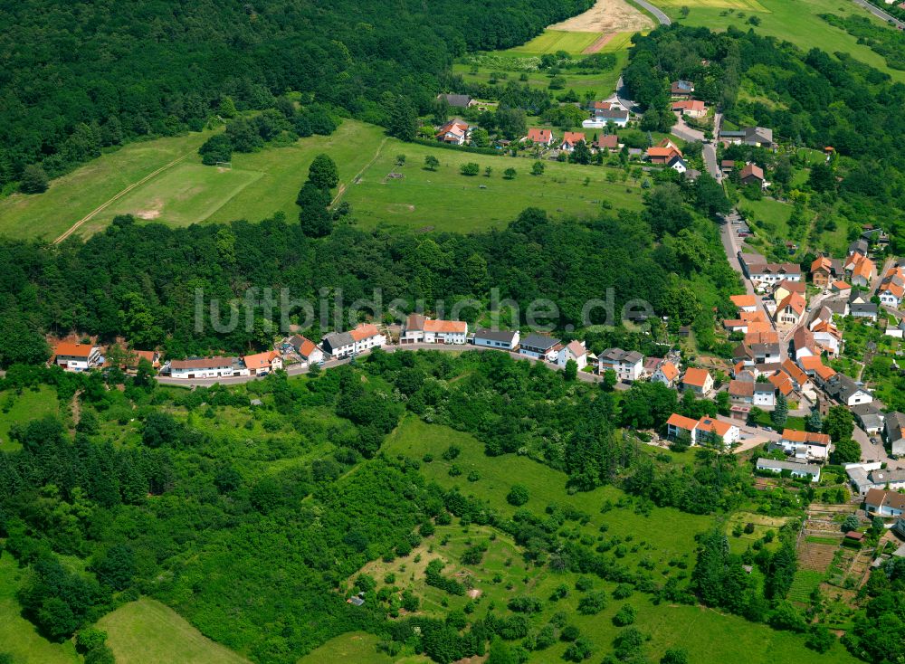 Stauf aus der Vogelperspektive: Dorf - Ansicht am Rande von Waldgebieten in Stauf im Bundesland Rheinland-Pfalz, Deutschland