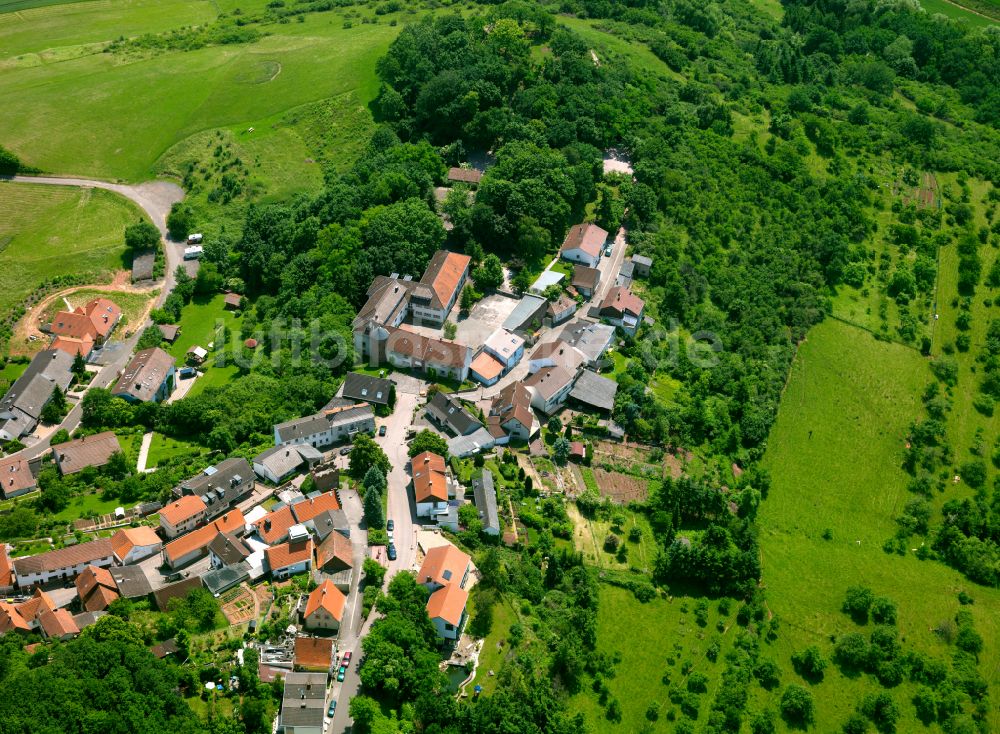 Luftbild Stauf - Dorf - Ansicht am Rande von Waldgebieten in Stauf im Bundesland Rheinland-Pfalz, Deutschland