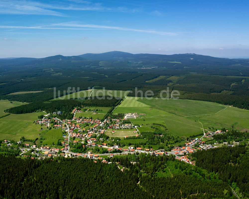 Tanne aus der Vogelperspektive: Dorf - Ansicht am Rande von Waldgebieten in Tanne im Bundesland Sachsen-Anhalt, Deutschland