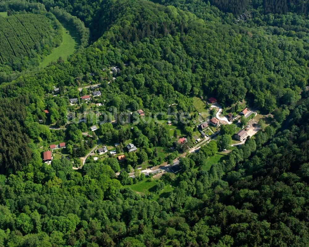 Treseburg aus der Vogelperspektive: Dorf - Ansicht am Rande von Waldgebieten in Treseburg im Bundesland Sachsen-Anhalt, Deutschland