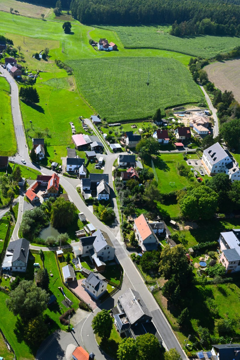 Wellsdorf von oben - Dorf - Ansicht am Rande von Waldgebieten in Wellsdorf im Bundesland Thüringen, Deutschland