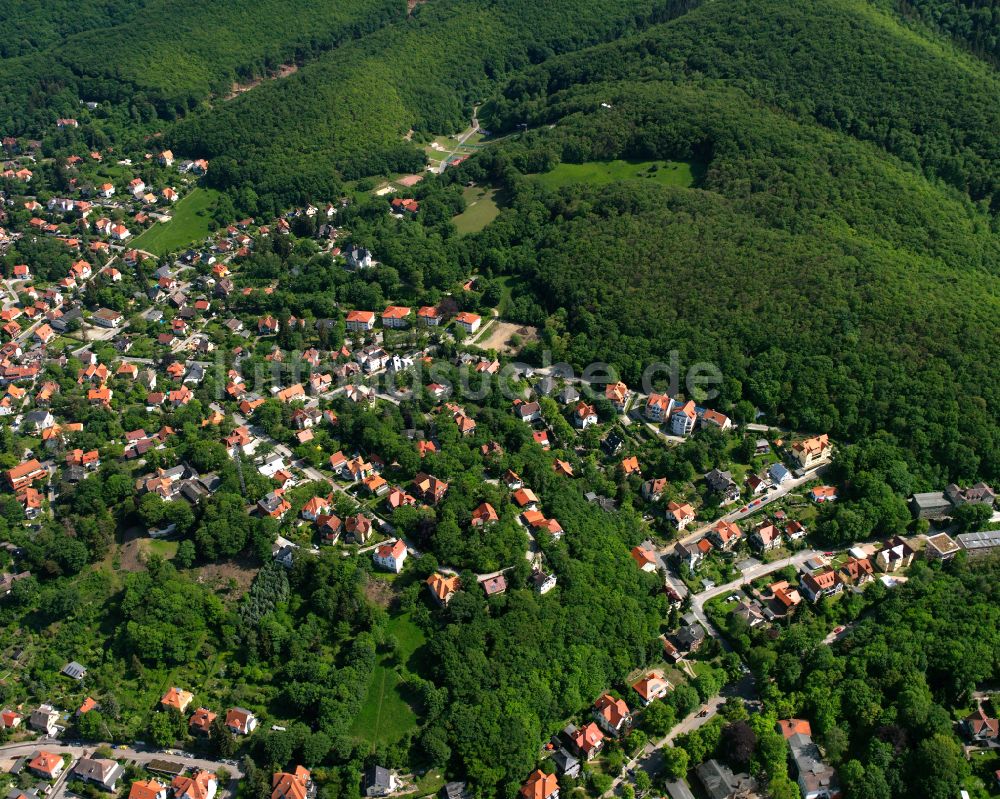 Wernigerode von oben - Dorf - Ansicht am Rande von Waldgebieten in Wernigerode im Bundesland Sachsen-Anhalt, Deutschland