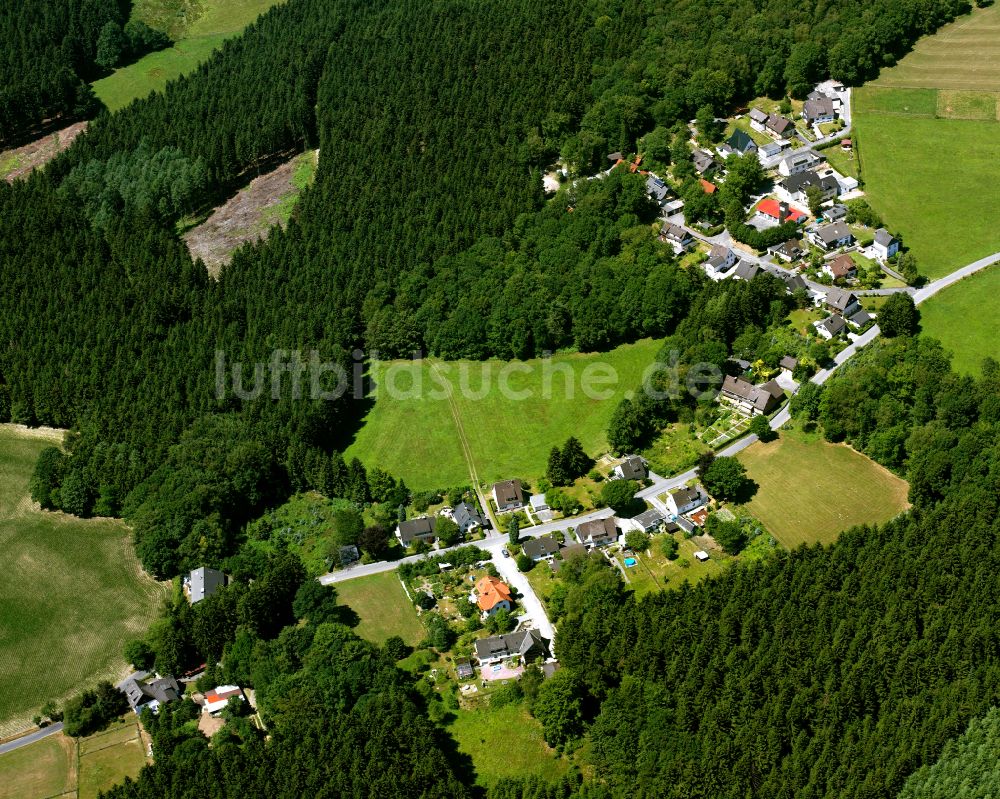 Winzenberg von oben - Dorf - Ansicht am Rande von Waldgebieten in Winzenberg im Bundesland Nordrhein-Westfalen, Deutschland