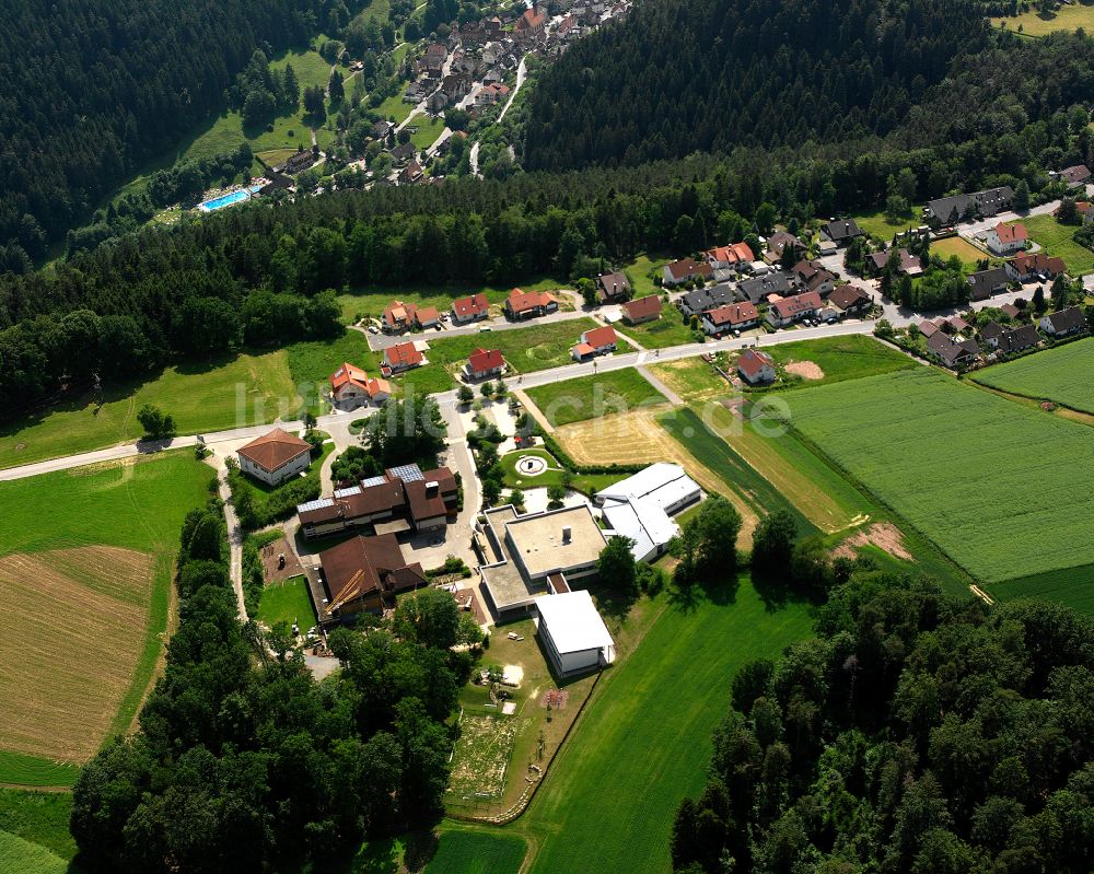 Zavelstein von oben - Dorf - Ansicht am Rande von Waldgebieten in Zavelstein im Bundesland Baden-Württemberg, Deutschland