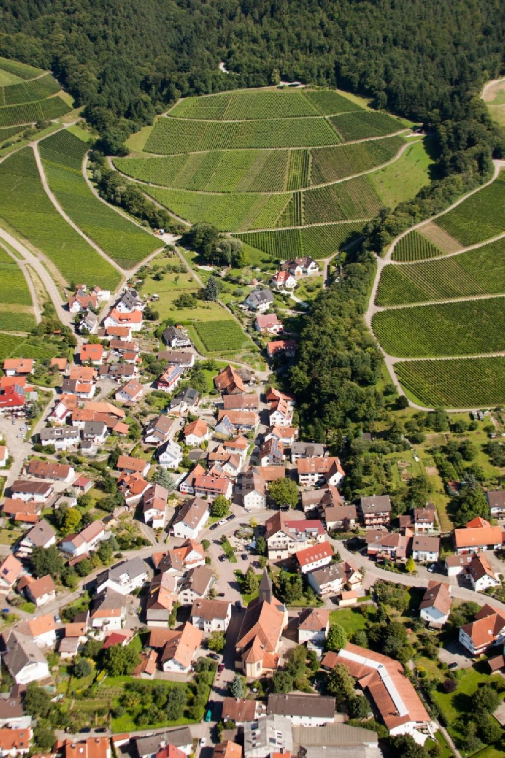 Luftaufnahme Bühl - Dorf - Ansicht am Rande von Weinbergen im Ortsteil Eisental in Bühl im Bundesland Baden-Württemberg