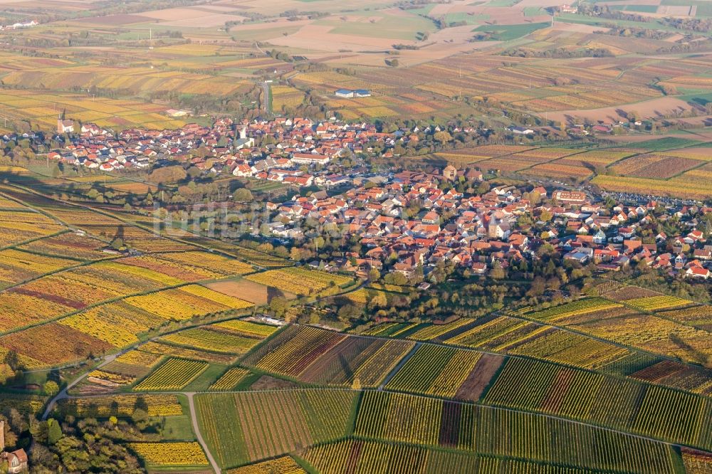 Schweigen aus der Vogelperspektive: Dorf - Ansicht am Rande von Weinbergen in Schweigen im Bundesland Rheinland-Pfalz, Deutschland