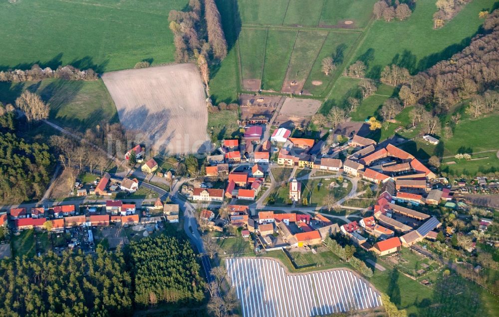 Luftaufnahme Reesdorf - Dorf - Ansicht Reesdorf in Beelitz im Bundesland Brandenburg, Deutschland