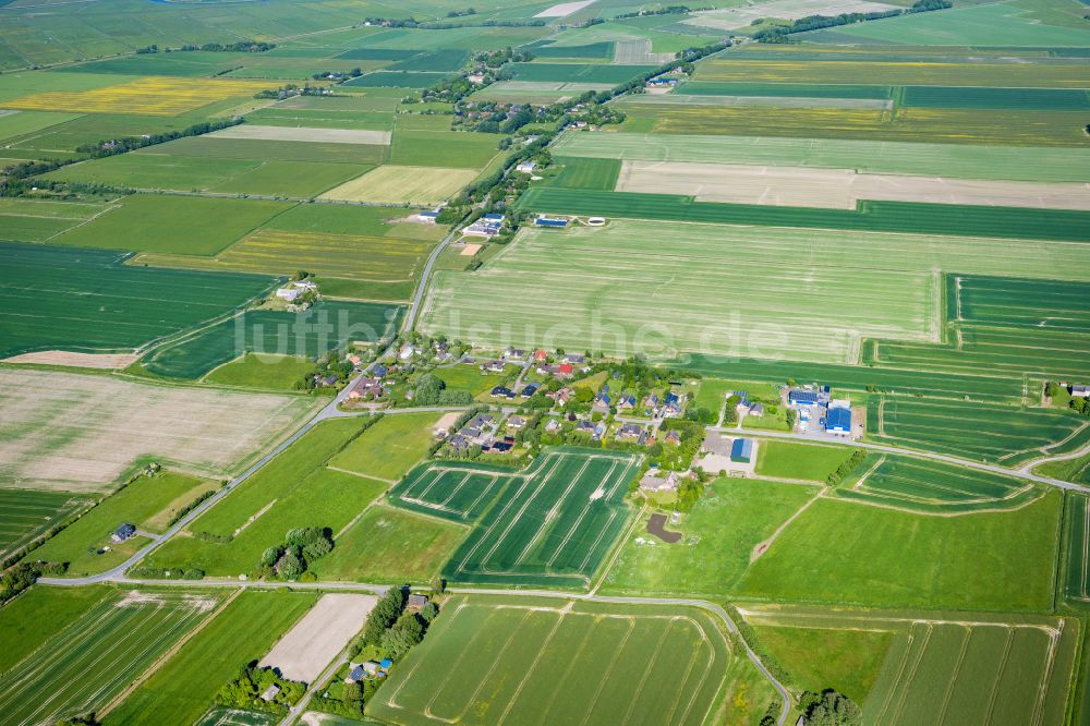 Rodenäs von oben - Dorf - Ansicht in Rodenäs im Bundesland Schleswig-Holstein, Deutschland