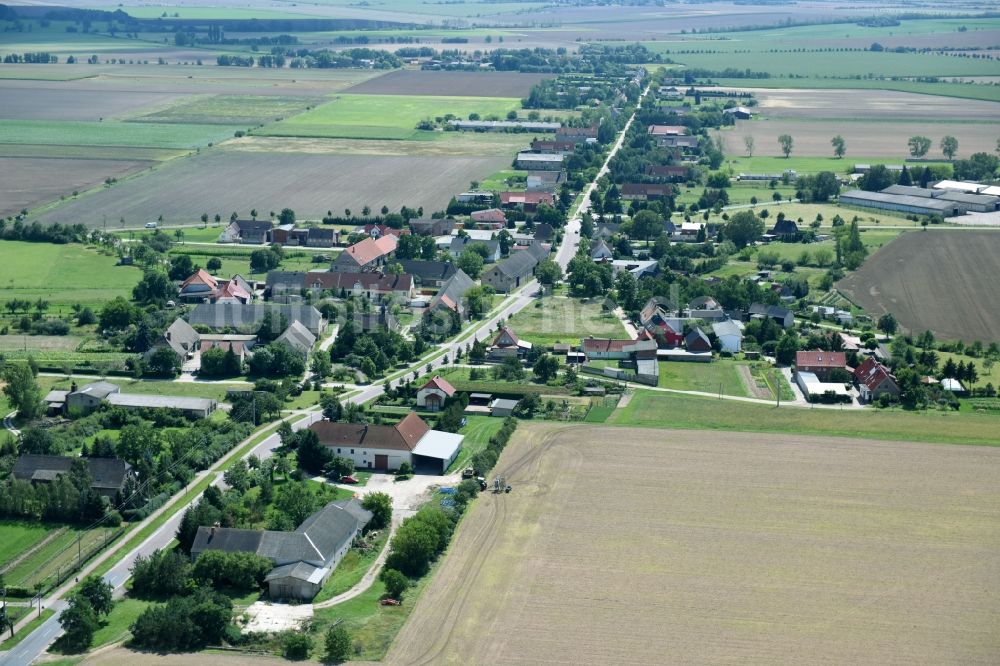 Luftaufnahme Sachsendorf - Dorf - Ansicht in Sachsendorf im Bundesland Sachsen-Anhalt, Deutschland