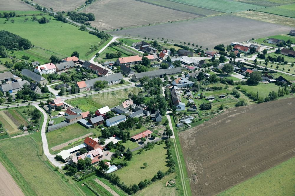 Sachsendorf von oben - Dorf - Ansicht in Sachsendorf im Bundesland Sachsen-Anhalt, Deutschland