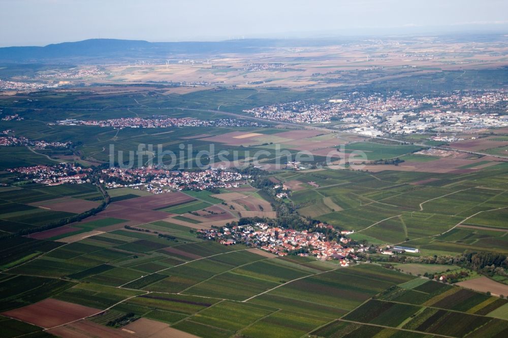 Bissersheim aus der Vogelperspektive: Dorf - Ansicht von Sausenheim in Bissersheim im Bundesland Rheinland-Pfalz