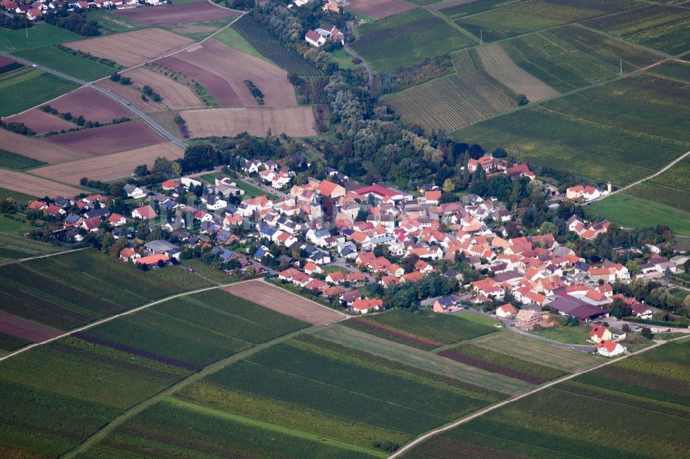 Luftbild Bissersheim - Dorf - Ansicht von Sausenheim in Bissersheim im Bundesland Rheinland-Pfalz