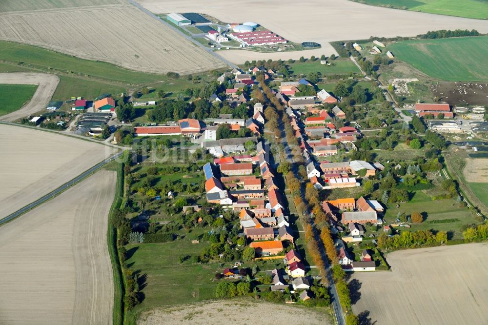 Luftbild Schönhagen - Dorf - Ansicht in Schönhagen im Bundesland Brandenburg, Deutschland