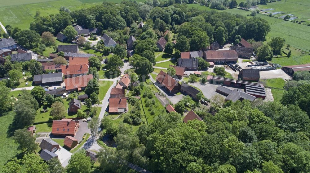 Luftaufnahme Schreyahn - Dorf - Ansicht in Schreyahn im Bundesland Niedersachsen, Deutschland