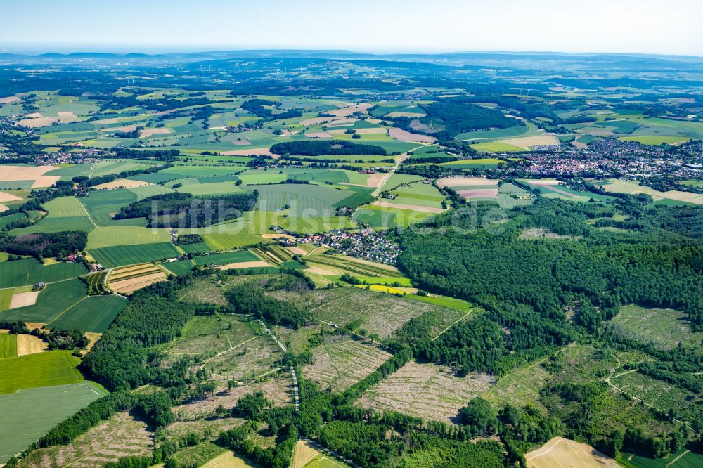 Barntrup von oben - Dorf - Ansicht Selbeck in Barntrup im Bundesland Nordrhein-Westfalen, Deutschland