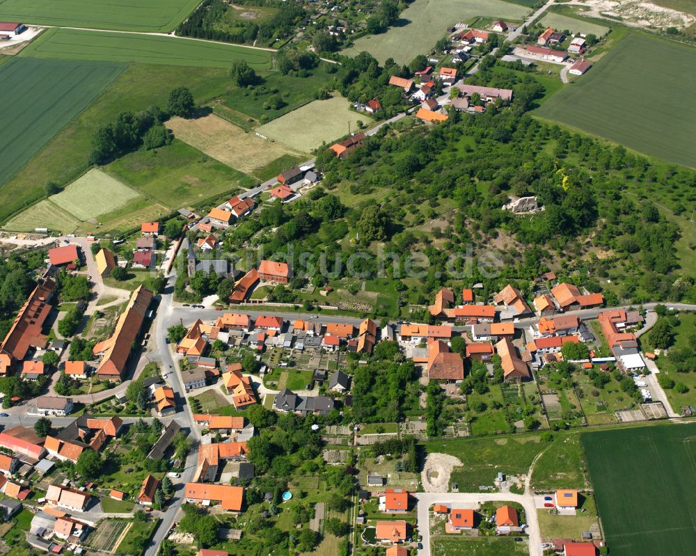 Stapelburg von oben - Dorf - Ansicht in Stapelburg im Bundesland Sachsen-Anhalt, Deutschland