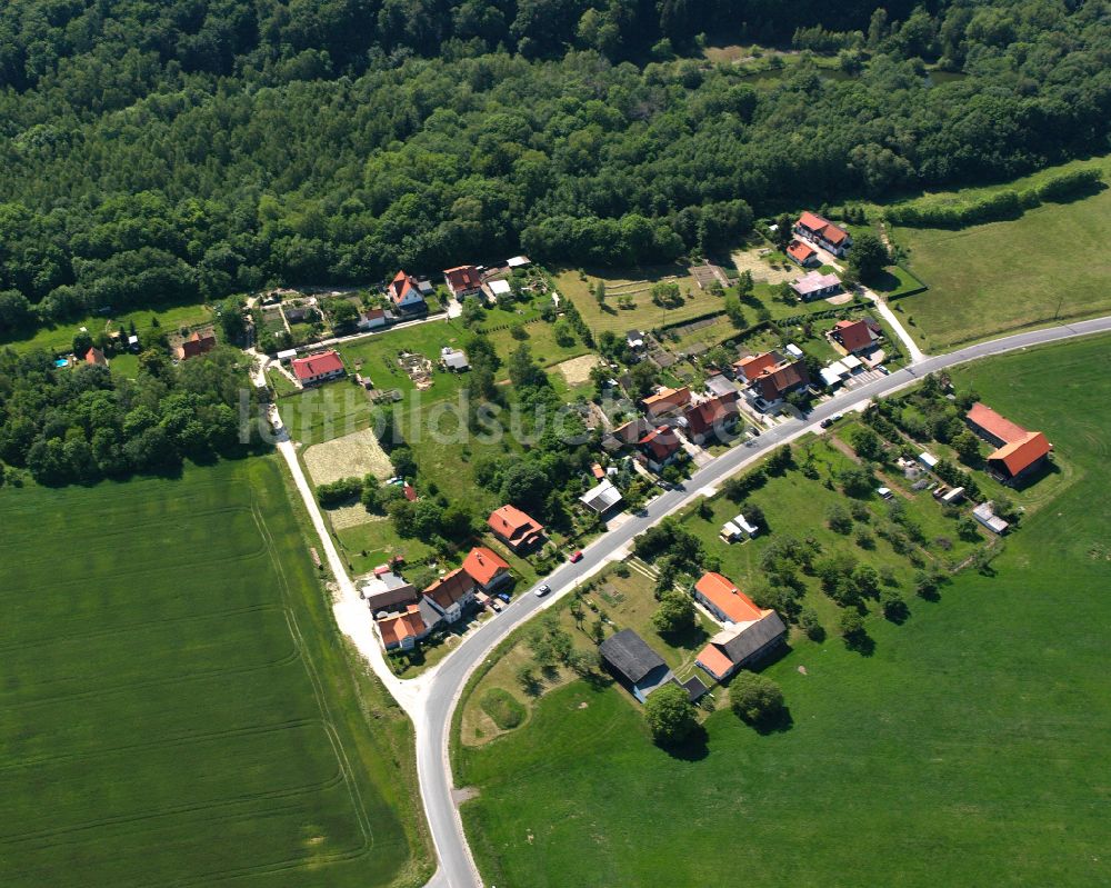 Stapelburg aus der Vogelperspektive: Dorf - Ansicht in Stapelburg im Bundesland Sachsen-Anhalt, Deutschland