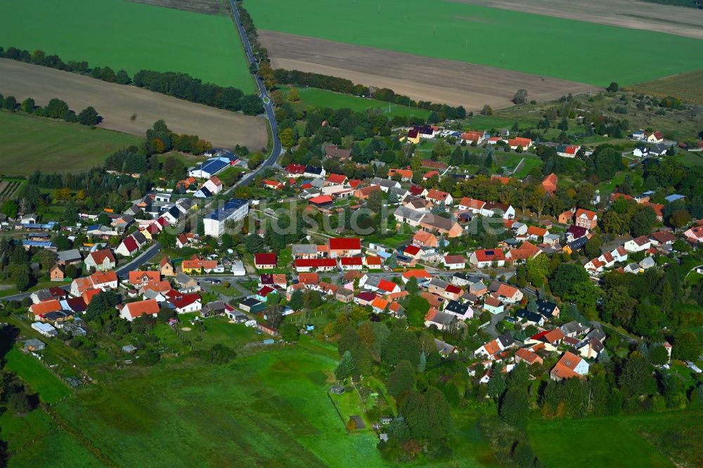 Temnitzquell von oben - Dorf - Ansicht in Temnitzquell im Bundesland Brandenburg, Deutschland