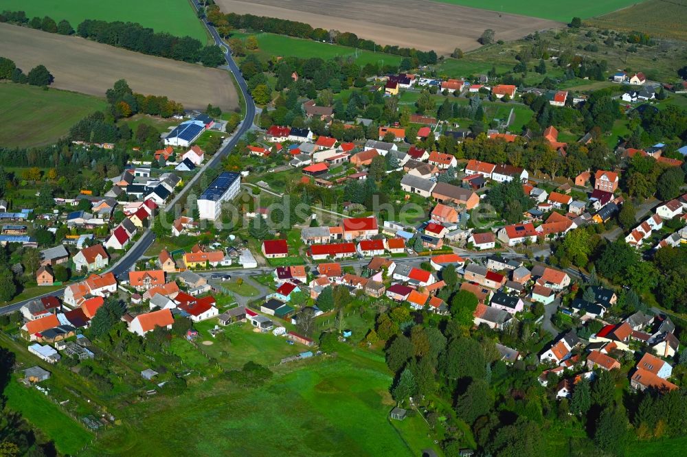 Temnitzquell aus der Vogelperspektive: Dorf - Ansicht in Temnitzquell im Bundesland Brandenburg, Deutschland