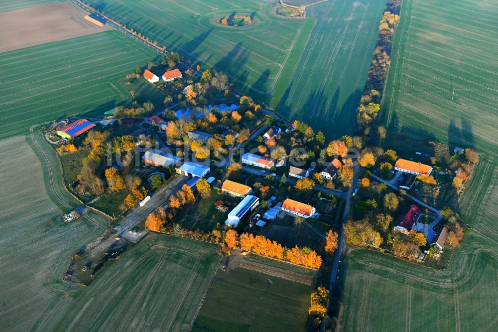 Trostfelde aus der Vogelperspektive: Dorf - Ansicht in Trostfelde im Bundesland Mecklenburg-Vorpommern, Deutschland