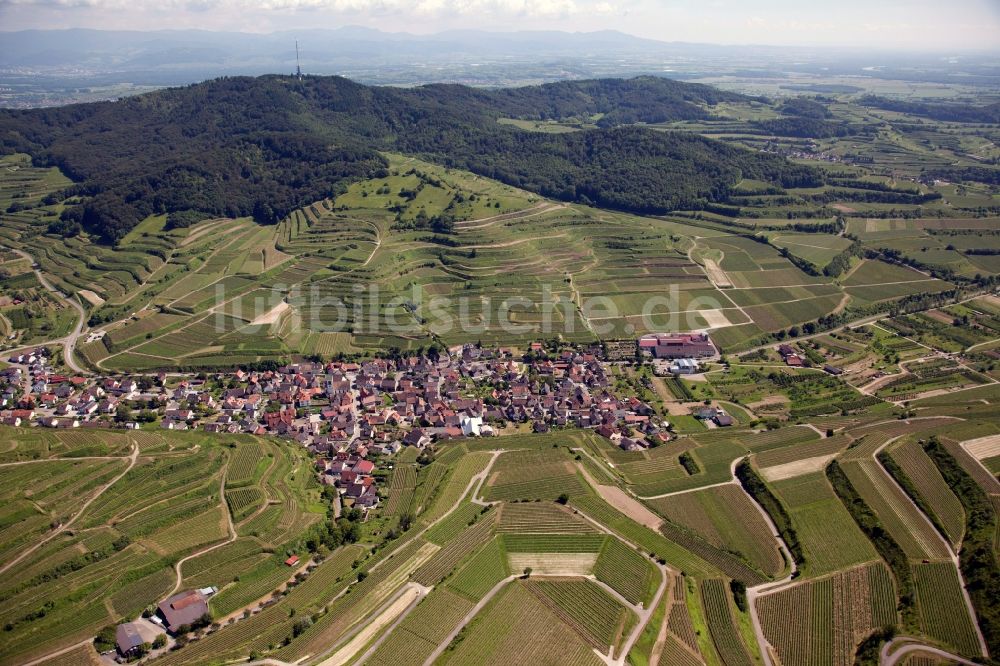 Vogtsburg im Kaiserstuhl aus der Vogelperspektive: Dorf - Ansicht von Vogtsburg im Kaiserstuhl- Oberbergen im Bundesland Baden-Württemberg