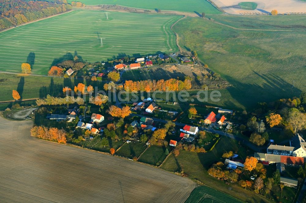 Warrenzin von oben - Dorf - Ansicht in Warrenzin im Bundesland Mecklenburg-Vorpommern, Deutschland