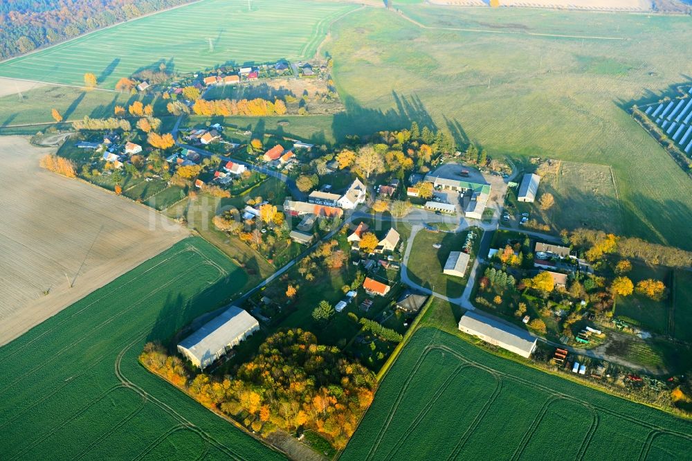 Warrenzin aus der Vogelperspektive: Dorf - Ansicht in Warrenzin im Bundesland Mecklenburg-Vorpommern, Deutschland